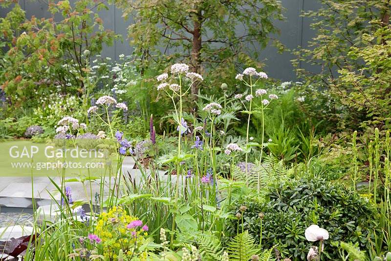 The Manchester Garden, view of the garden and its undulating white sculptures, with planting including Iris sibirica 'Persimmon' and Valerian. Sponsors: Aviva Investors and Cole Waterhouse.