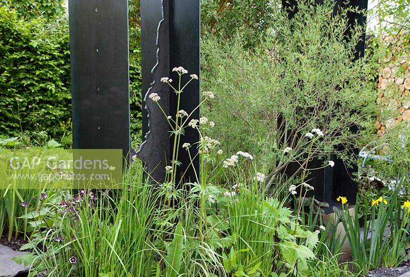 Viking Cruises: The Art of Viking Garden, planting in front of the black metal sculptures includes Valeriana officinalis and Salix - Sponsor: Viking.