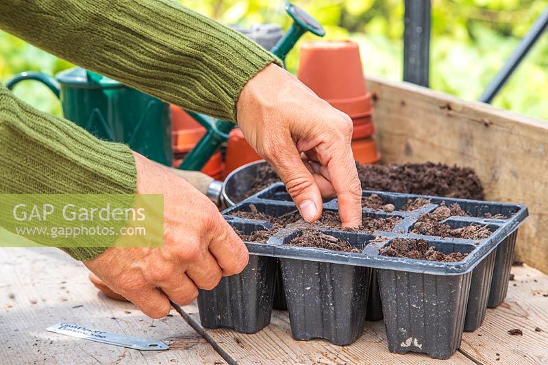 Woman using index finger to create holes in compost ready for sowing seeds.