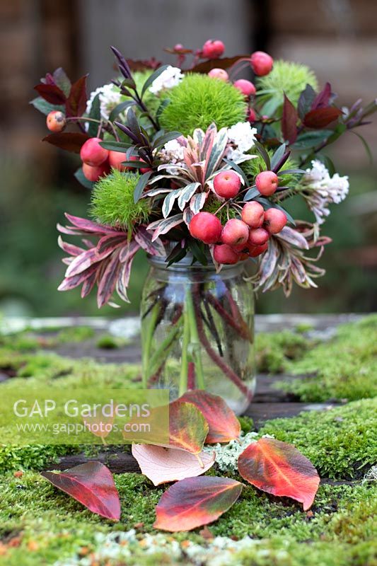 Posy with Euphorbia, Dianthus 'Green Trick', Malus  - Crabapple - in a jam jar on mossy bench with Viburnum leaves