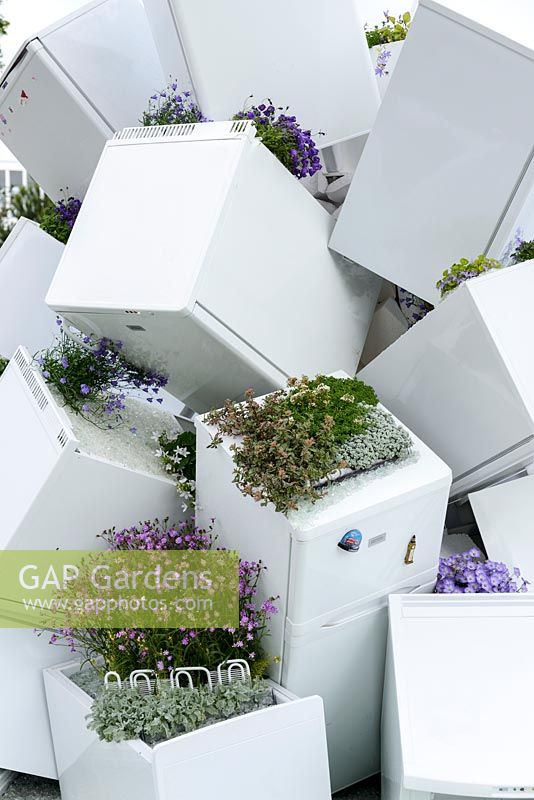 Fridges as planters for Alpines in a conceptual garden Tip of the Iceberg - RHS Hampton Court Flower Show 2013 - contributor: Zanussi.