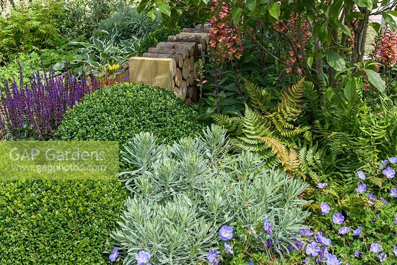 A Hampton Garden, showing a mixed bed with Buxus - Box - topiary, foliage and flowers, a wood stack for wildlife gardening. Sponsor: Squires Garden Centres