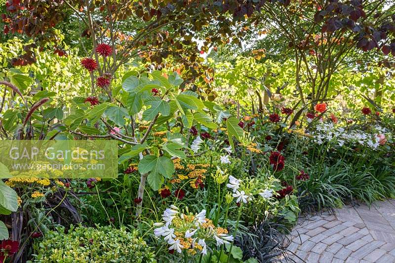 Summer border in the Bachus Garden - RHS Hampton Court Flower Show 