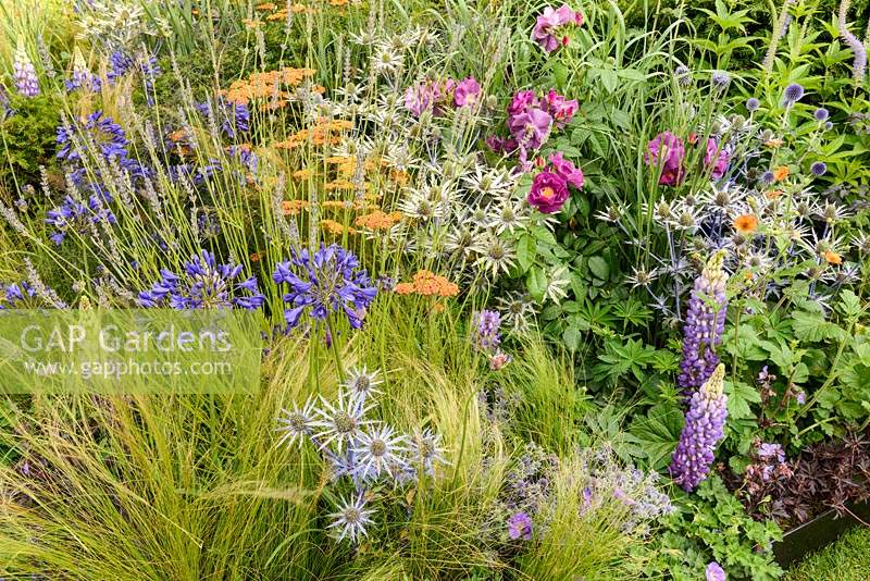 Mixed summer border in the Untying the Knot garden, RHS Hampton Court Flower Show 2014 