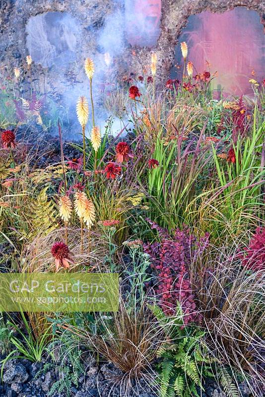 Kniphofia 'Tetbury Torch', Achillea 'Walter Funke' and Achillea 'Terracotta' RHS Hampton Court Flower Show 2014 - Eruption of Unhealed Anger Garden 