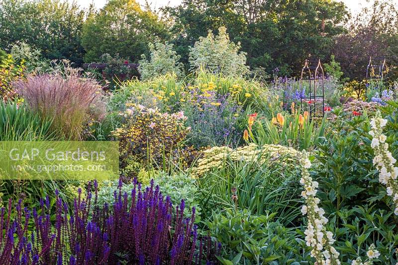 View across double herbaceous borders in July 