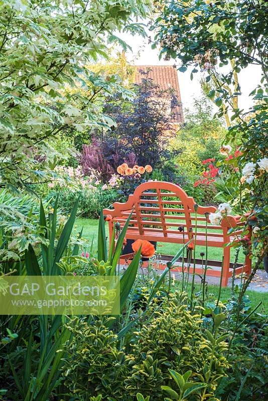 Orange garden bench with containers of Dahlia 'David Howard' viewed through border