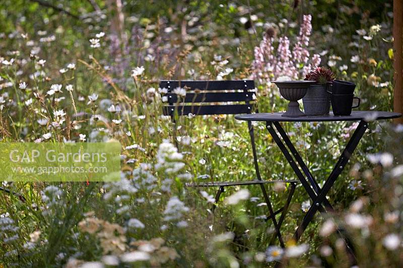 Metal table and chair amongst wild flowers in a naturalistic planting.