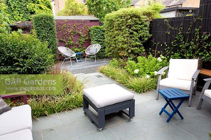 Small contemporary garden in West London with grey paving patio and slate path. Planting includes Prunus lusitanica Myrtifolia, Ceanothus, existing plant - variety unknown, Trachelospermum jasminoides, Ceanothus Lemon and Lime, Crocosmia Emily McKenzie, Hydrangea paniculata Bombshell, Carex Ice Dance.