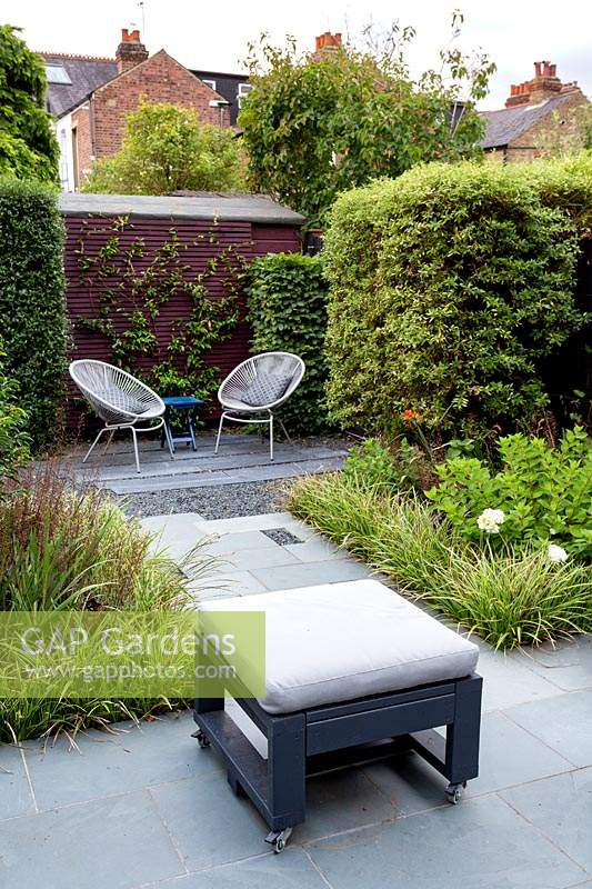 Small contemporary garden in West London with grey paving patio, white chairs and slate path.  Planting includes Ceanothus - existing plant - variety unknown, Trachelospermum jasminoides, Ceanothus Lemon and Lime, Crocosmia Emily McKenzie, Hydrangea paniculata Bombshell, Carex Ice Dance.