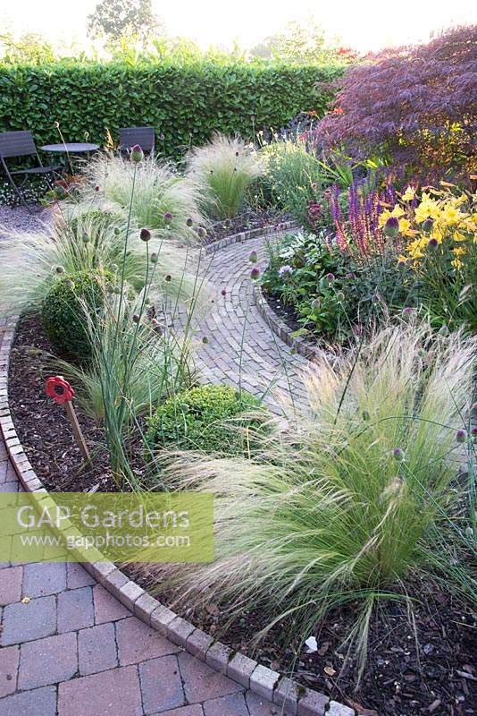 Stipa tenuissima 'Wind Whispers' Allium sphaerocephalon and Buxus sempervirens balls in narrow border edged by block paving leading to seating area.