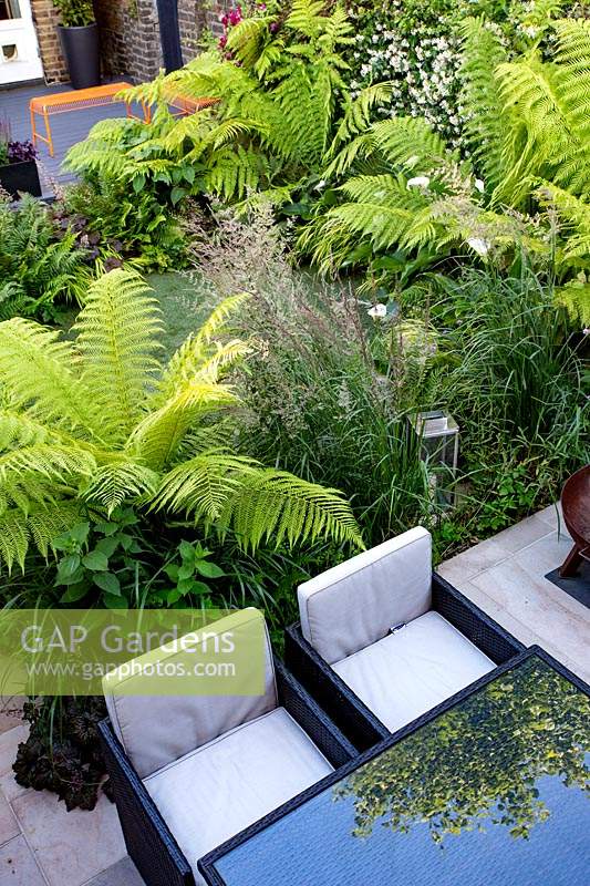 Seating and dining patio area in small shade tolerant garden in London with a green theme. Planting includes Calamagrostis x acutiflora Karl Foerster,  Dicksonia antarctica.