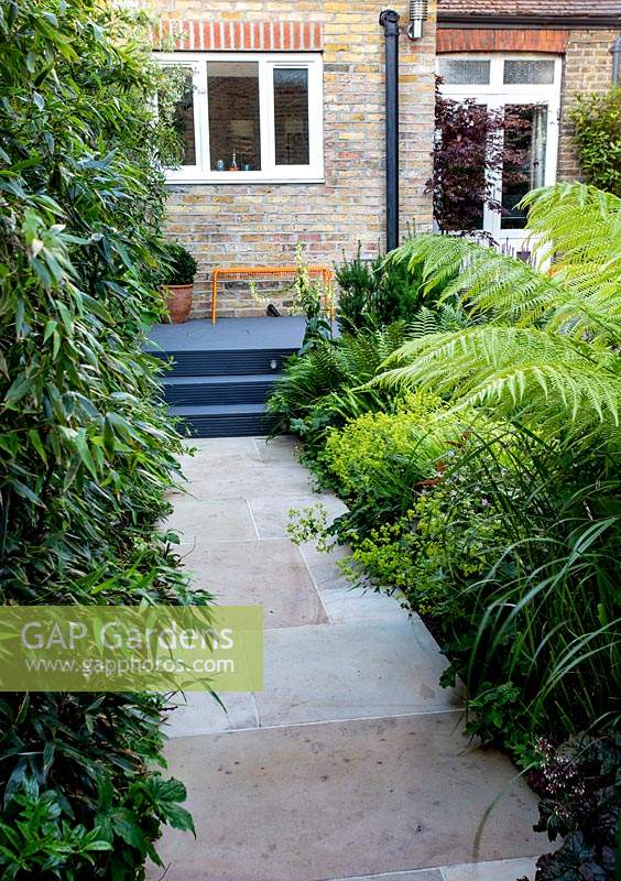 View along stone paved path towards house in small shade tolerant garden in London with a green theme. To the left is Black Bamboo, forming a screen from next door's property.