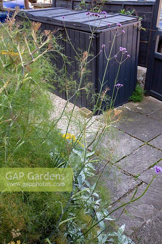 Front garden in West London - contemporary grey recycling bin tidy with fennel and Verbena bonariensis.