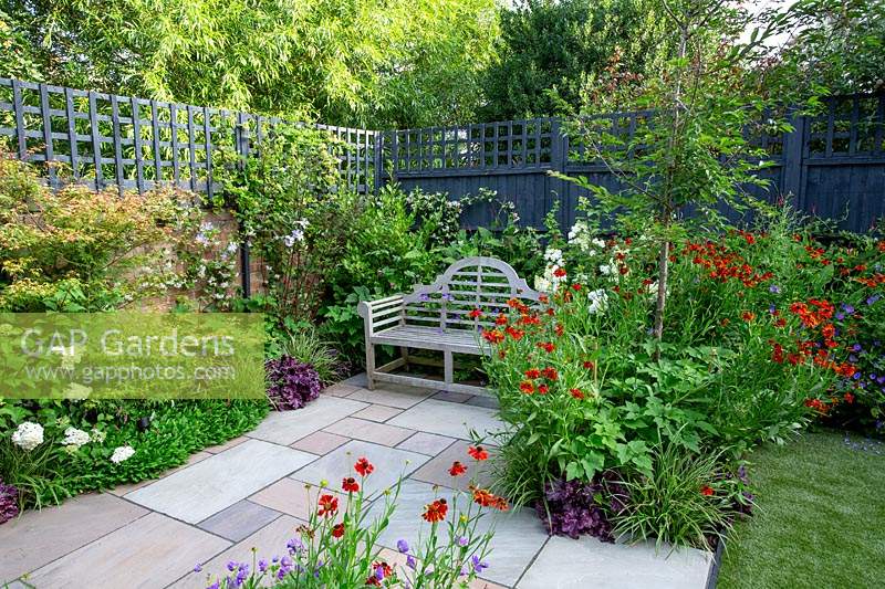 Contemporary garden in West London with grey painted fence and trellis - view through borders with Helenium Moerheim Beauty, Hydrangea Vanille Fraise, Acer Katsura, Prunus Autumnalis Rosea.