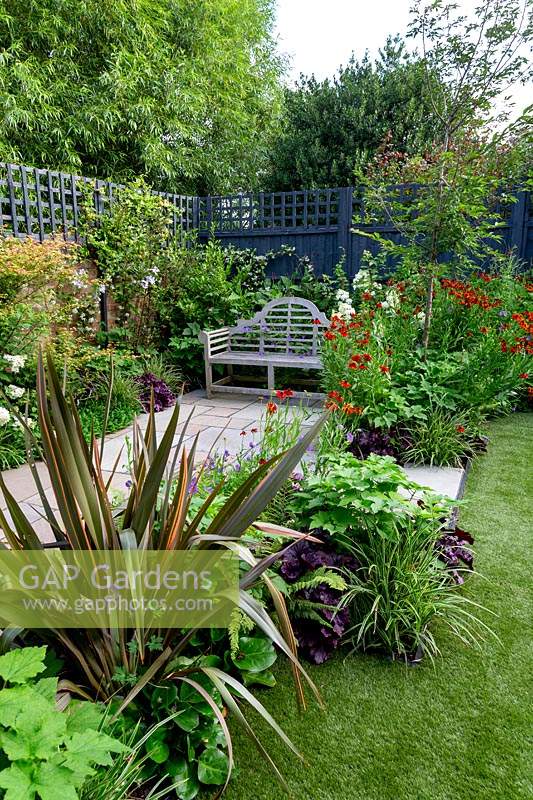 Contemporary  garden in West London with artificial lawn - view through borders with Phornium Queen, Helenium Moerheim Beauty, Hydrangea Vanille Fraise, Acer Katsura, Prunus Autumnalis Rosea towards stone patio with a wooden seat.