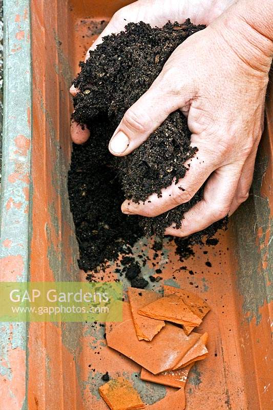 Adding a layer of compost to a container with crocks

