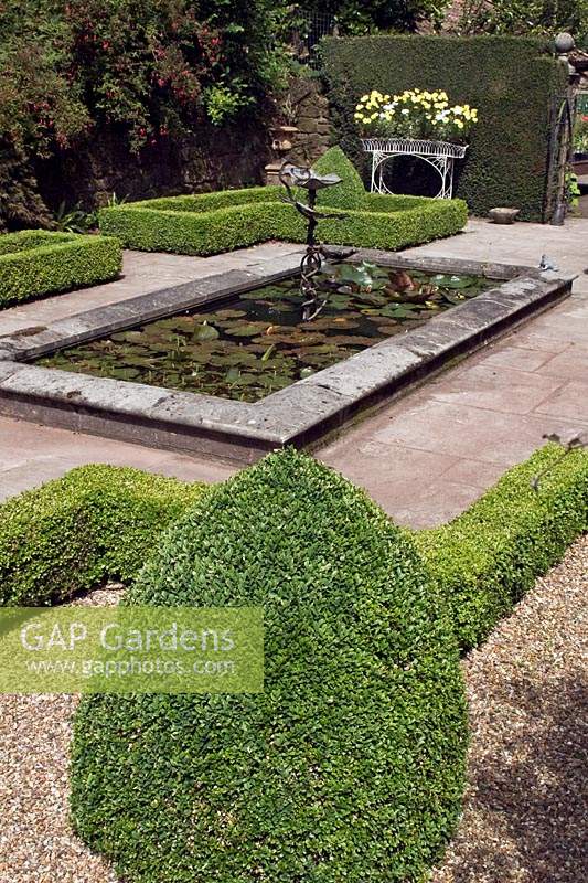 View across formal garden with small raised pond with Nymphaea - Waterlily and metal water feature, pond surrouned by paving and clipped Buxus - Box - edged beds and topiary 