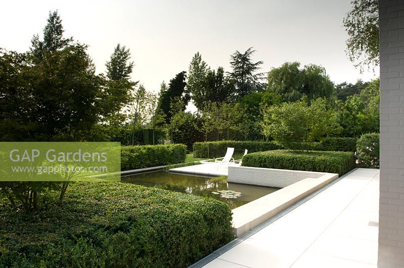 Contemporary pool in modern garden. 
