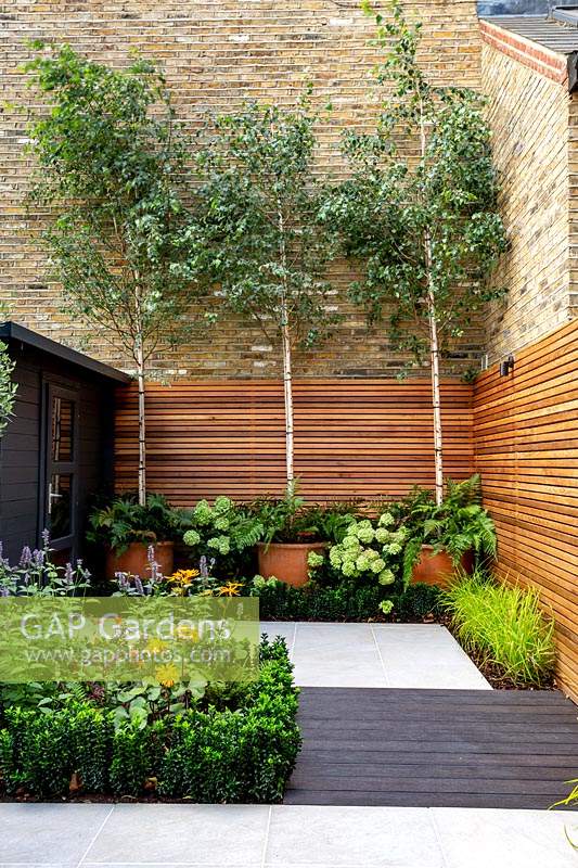 Small contemporary London garden with cedar batten trellis and black wood garden room. 