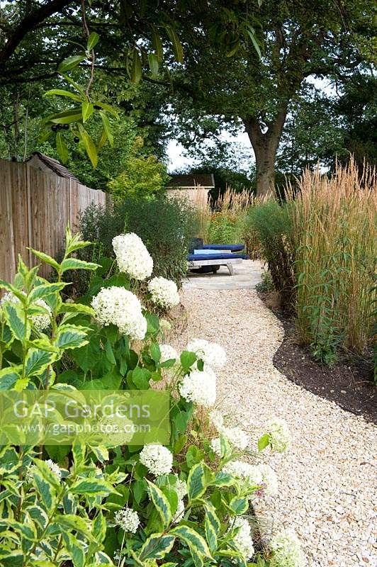 View along gravel path with shrub border with Hydrangea and boundary fence on one side and ornamental grasses on the other side