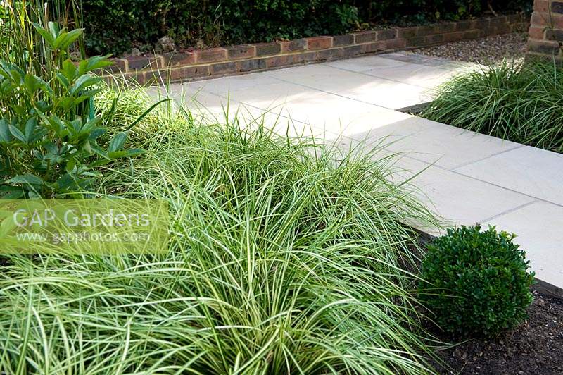 Corner of a white paved path by a brick-edged border, viewed from bed with variegated ornamental grass 