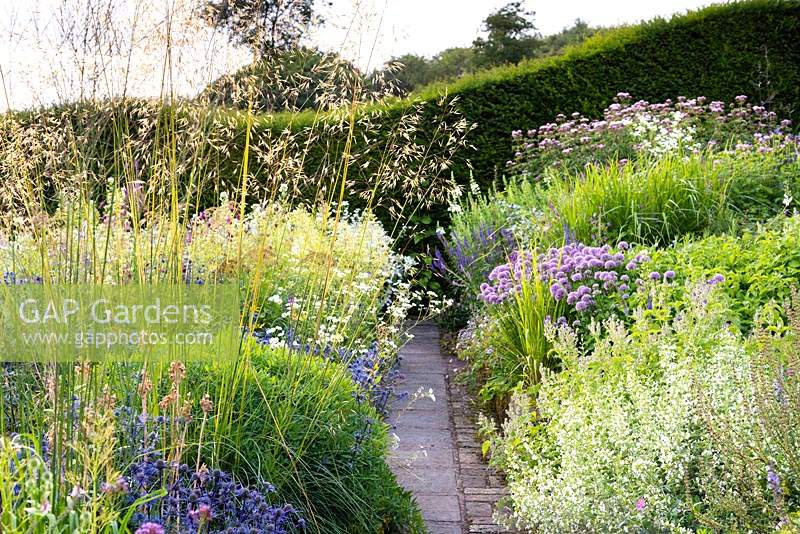 Paved path between full borders featuring grasses such as Stipa gigantea and herbaceous perennials including Eryngium bourgatii 'Picos Blue', Dianthus carthusianorum, Allium 'Summer Beauty'. Undulating Taxus - Yew - hedge beyond