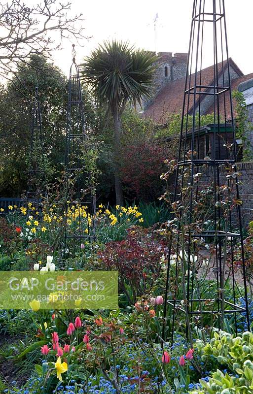 View along mixed border, with flowering Tulipa - Tulip, Narcissus - Daffodil, shrubs and line of tall metal obelisks 