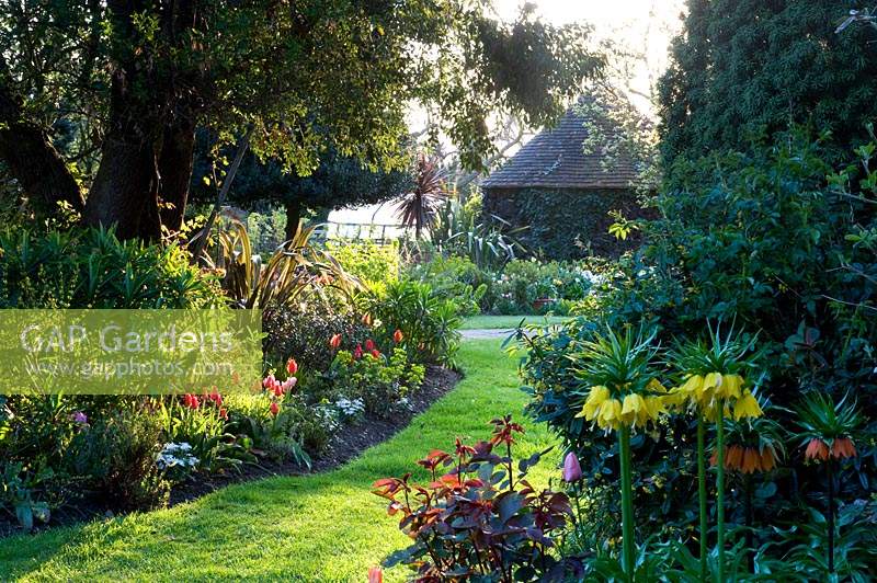 Beds with grass pathway between, plants include Fritillaria imperialis - Crown Imperial, Tulipa - Tulip, conifers and trees