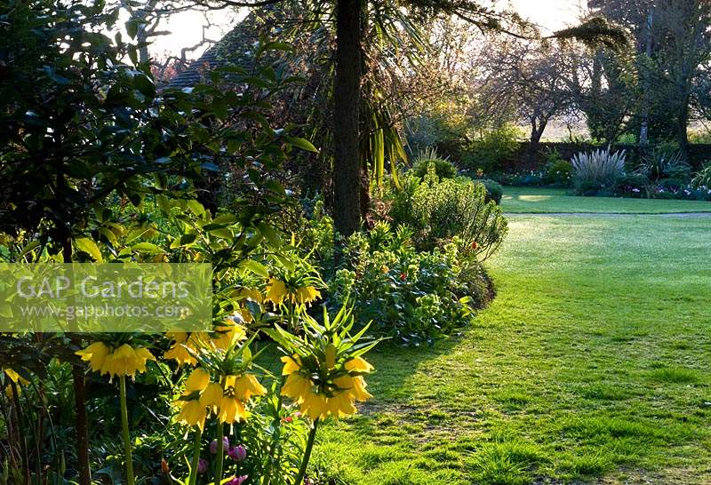 View across wide, curved border with Fritillaria imperialis - Crown Imperial - in foreground