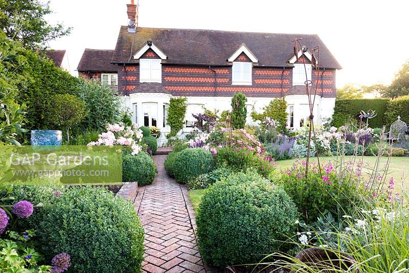 Clipped pairs of Buxus - Box - topiary either side of herringbone brick path leading to house,  flower beds with Rosa 'Cornelia' - Rose