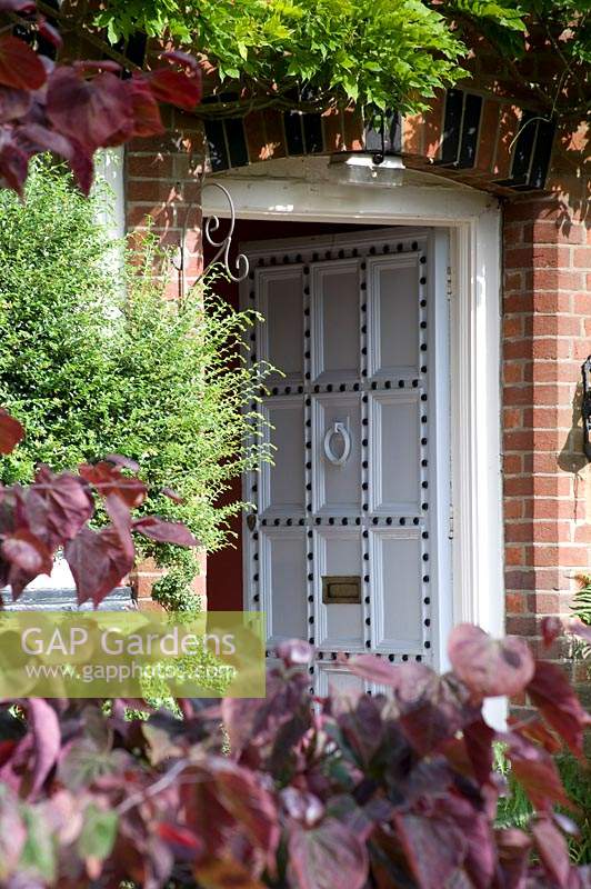 View past the burgundy leaves of Cercis canadensis to front door 