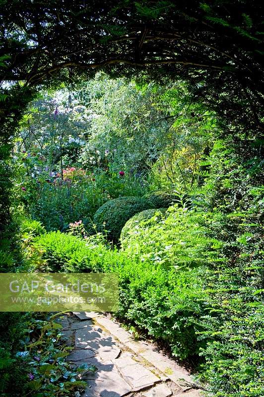 View through clipped Taxus - Yew - arch to Buxus - Box - balls and edging in border 