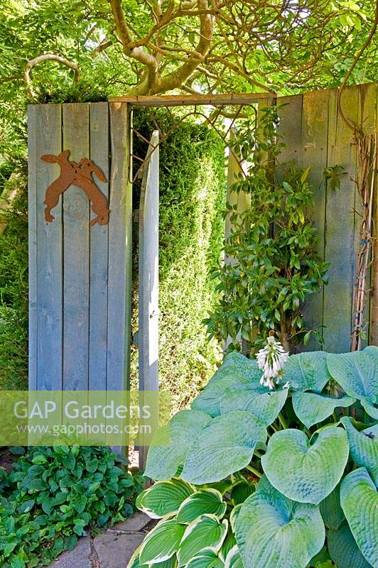 Close board fencing with rabbit wall ornament, next to open, wooden gate by flowering Hosta 