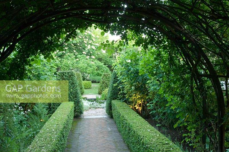 View of formal topiary in garden from under rose arch. 