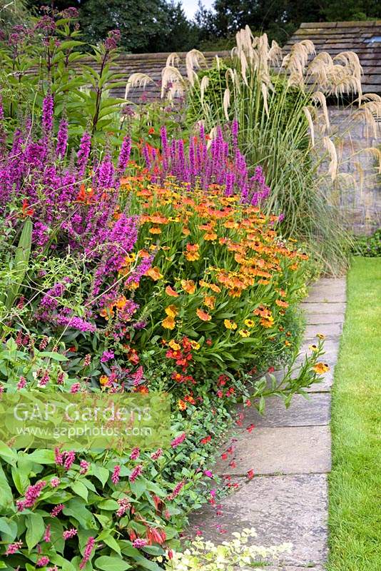 Border in the front garden including helenium, persicaria, salvia and lythrum at York Gate Garden, Adel in July.