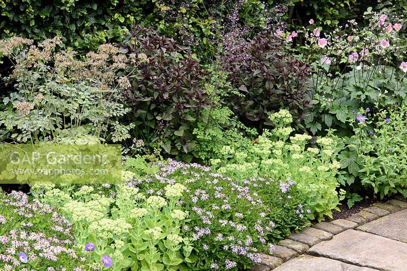 Border in Sybil's Garden planted with sedums, asters, Japanese anemones and thalictrums at York Gate Garden, Adel in July.
