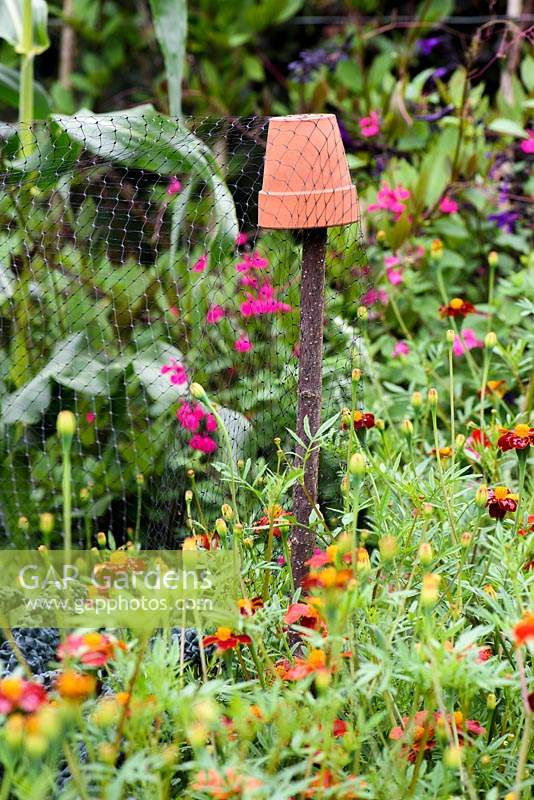 Hazel sticks topped with small terracotta pots draped with protective netting at York Gate Garden, Adel in July.