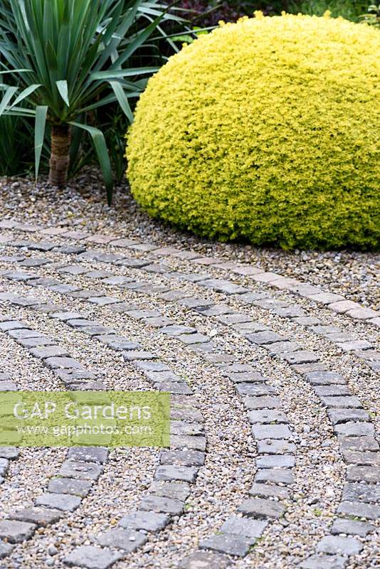 Stone sets describing concentric circles are inlaid in gravel with clipped golden yew and yucca behind on the drive at York Gate garden, Adel in July.