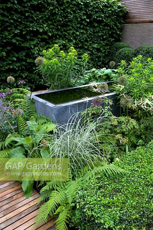 Raised pool is surrounded by grasses, ferns and flowering perennials in contemporary garden. 