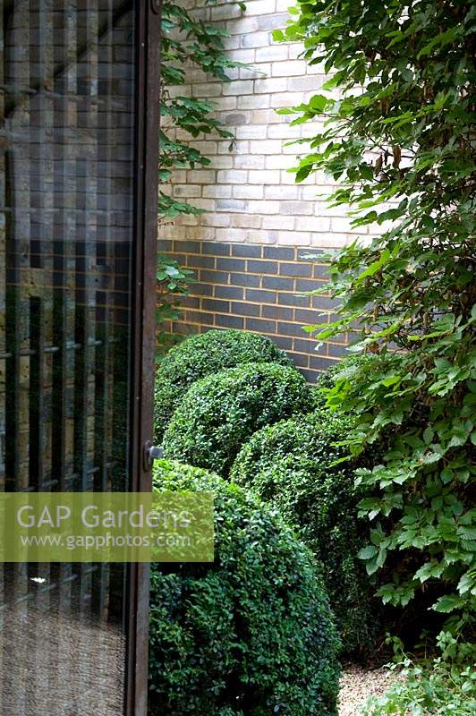 View through gateway to mounds of clipped Buxus in contemporary garden. 