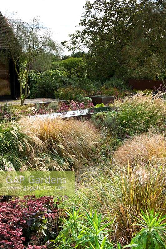 Late-summer interest  perennials and grasses in naturalistic borders. 