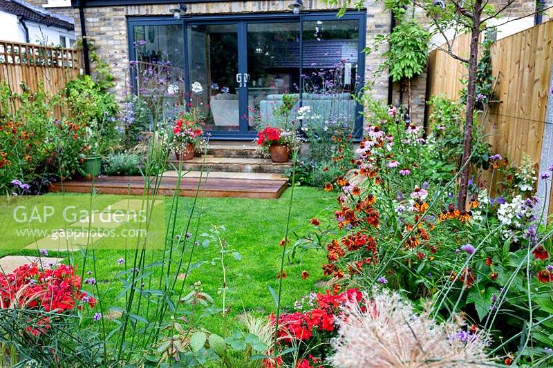 Contemporary garden in West London with stone patio and herbaceous borders, with view towards house. Planting includes Verbena bonariensis, Echinacea purpurea Magnus Superior, Helenium Moerheim Beauty,