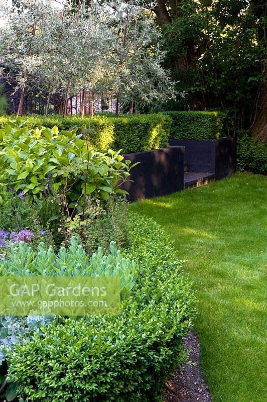 Different greens and textures complement each other in border, set off by black raised border and Buxus - Box edging