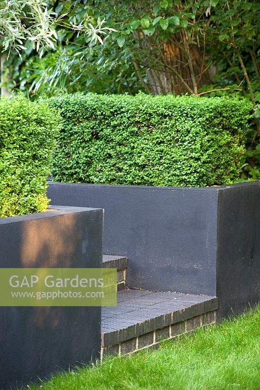 Black retaining walls with clipped Buxus - Box - hedges and brick steps mark change of level from lawn