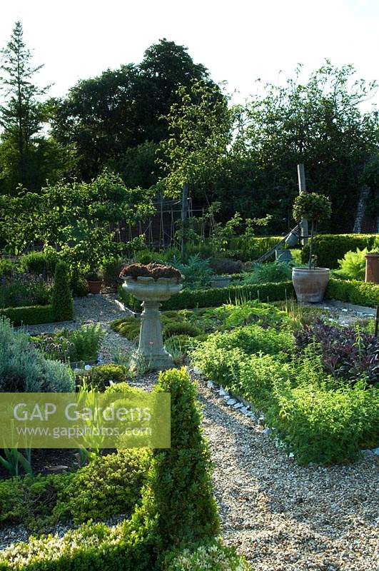 View of formal vegetable and fruit garden, showing gravel paths and Buxus - Box edging
