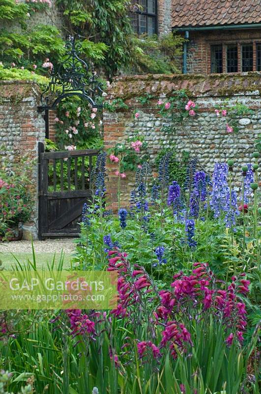View over herbaceous perennials to wooden gate and brick wall. 