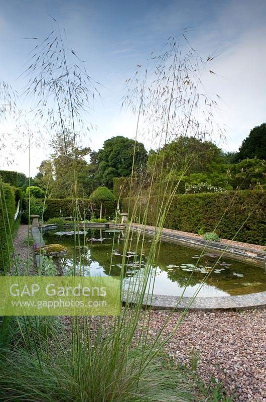 View through flowering ornamental grass to swimming pool garden with gravel and hedges beyond