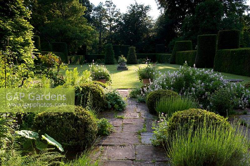 View across paved terrace with borders, box balls and stone path to lawn in evening light