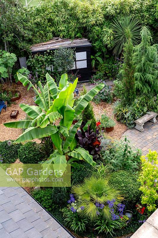 Modern cottage garden in West London. High view looking down showing most of the garden with the different areas including Musa basjoo.